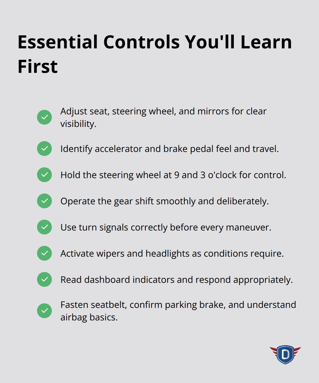 Checklist of key car controls and safety checks typically covered in a first driving lesson in the United States.